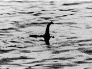 DNA giải ảo huyền thoại quái vật hồ Loch Ness