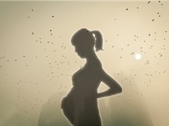 Hạt carbon đen đi xuyên qua nhau thai: Bằng chứng cho thấy ô nhiễm không khí ảnh hưởng trực tiếp tới thai nhi trong bụng mẹ
