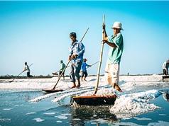 Bảo hộ chỉ dẫn địa lý “Bà Rịa” cho sản phẩm muối ăn