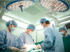 Làm chủ các kỹ thuật phẫu thuật bệnh lý tim bẩm sinh phức tạp