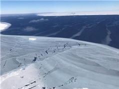 Nguyên nhân bất ngờ của việc khối băng khổng lồ tách khỏi Nam Cực