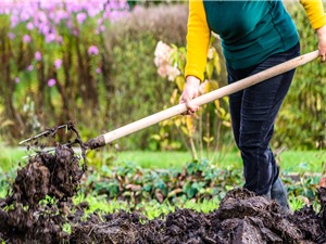 Phân bón: Chìa khóa của nông nghiệp xanh