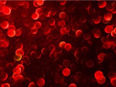 Máu nhân tạo có thể được truyền cho tất cả các nhóm máu