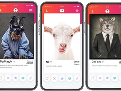 Bất ngờ với Get Bone, app hẹn hò cho thú cưng Made in Vietnam, lấy cảm hứng từ Tinder