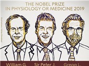 Nobel Y Sinh 2019: Giải mã cách các tế bào cảm nhận lượng oxy