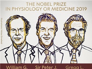 Nobel Y Sinh 2019: Giải mã cách các tế bào cảm nhận lượng oxy