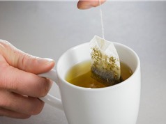 Túi lọc trà có thể giải phóng hàng tỷ hạt vi nhựa