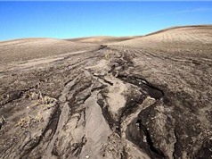 Con người gây xói mòn đất từ 4000 năm về trước 
