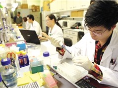 Khối đại học đứng đầu về tiềm năng nghiên cứu ở Việt Nam