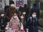 Hàn Quốc đóng cửa một số nhà máy nhiệt điện than để hạn chế ô nhiễm không khí
