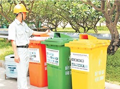 Không phân loại tại nguồn, không thể xử lý rác thải hiệu quả