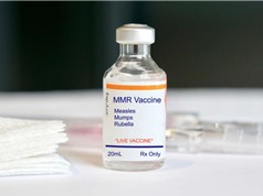 Đức thông qua luật tiêm phòng vaccine sởi bắt buộc cho trẻ em