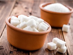 Nuôi vi khuẩn để sản xuất đường tốt cho răng và người tiểu đường 