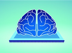 Các nhà khoa học phát triển thành công khớp thần kinh điện tử, dạy máy tính tự quên những thứ cần phải quên