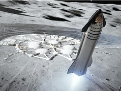 Tàu SpaceX có thể giao hàng lên Mặt trăng vào năm 2022