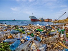 Hai nghiên cứu làm cơ sở cho công nghệ xử lý rác thải nhựa phù hợp với Việt Nam