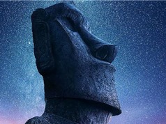 Khám phá mới thay đổi cách hiểu về nguồn gốc của những bức tượng bí ẩn trên Đảo Phục Sinh