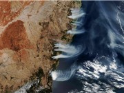 250 triệu tấn CO2 thải ra từ các vụ cháy rừng ở Úc
