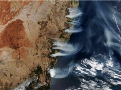 250 triệu tấn CO2 thải ra từ các vụ cháy rừng ở Úc