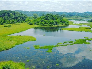Đa dạng hóa nguồn đầu tư cho hệ thống rừng đặc dụng Việt Nam: Cơ hội và những rủi ro 