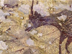 Phát hiện những bức tranh hang động 44 nghìn năm tuổi