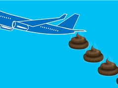 Mối nguy từ chất thải máy bay