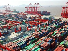 Kim ngạch xuất nhập khẩu của Việt Nam tăng 7,6% năm 2019