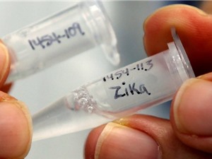 Bước tiến mới trong nghiên cứu vaccine phòng chống virus Zika