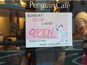 Tiệm cafe cho chó robot ở Nhật 