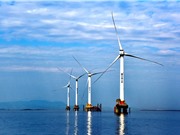 Đầu tư năng lượng tái tạo chững lại trên toàn cầu