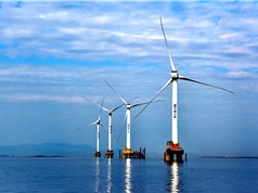 Đầu tư năng lượng tái tạo chững lại trên toàn cầu