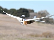 Drone bay tốt hơn nhờ gắn lông chim bồ câu 