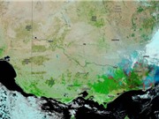 Khói cháy rừng ở Úc lan khắp toàn cầu
