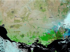Khói cháy rừng ở Úc lan khắp toàn cầu