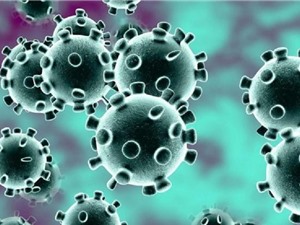 Phục vụ cộng đồng khoa học các công bố mới nhất về dịch do virus Corona