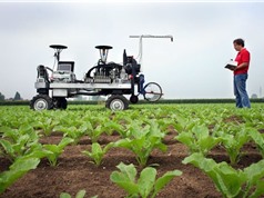 Thị trường robot nông nghiệp sẽ tăng trưởng mạnh 