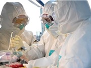 Công ty Pháp xin cấp phép khẩn cấp cho dụng cụ xét nghiệm virus corona