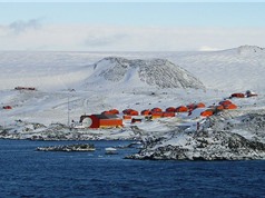 Nam Cực ghi nhận nhiệt độ nóng nhất trong lịch sử