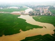 Phát hiện cơ chế ô nhiễm arsenic mới ở đồng bằng sông Hồng