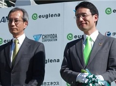 Nhật Bản đầu tư nuôi vi tảo euglena tại Indonesia và Columbia 