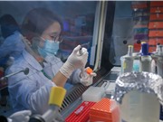 Chống dịch H5N6: Nhà khoa học sát cánh cùng nhà nông