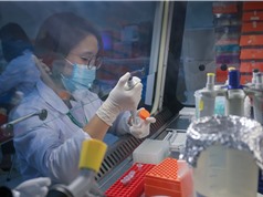 Chống dịch H5N6: Nhà khoa học sát cánh cùng nhà nông