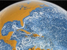 Các dòng hải lưu trên Trái Đất đang di chuyển nhanh hơn