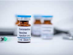Công ty Mỹ sắp thử nghiệm vaccine Covid-19 trên người