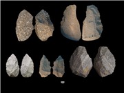 Những phát hiện mới về người cổ đại Homo Erectus