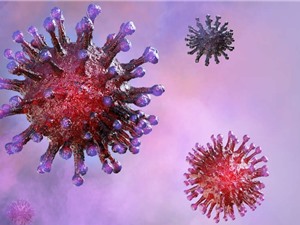 Phát hiện hai chủng virus corona gây bệnh Covid-19