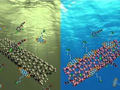 Khử ô nhiễm kim loại nặng trong nước bằng nanocarbon tích điện