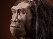Phát hiện hóa thạch lâu đời nhất liên quan đến loài người