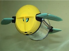 Giám sát trại nuôi cá bằng robot rùa biển 