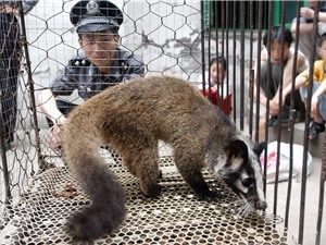 Phần lớn người Việt ủng hộ đóng cửa thị trường buôn bán động vật hoang dã